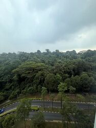 Blk 90A Telok Blangah Parcview (Bukit Merah), HDB 4 Rooms #608649201